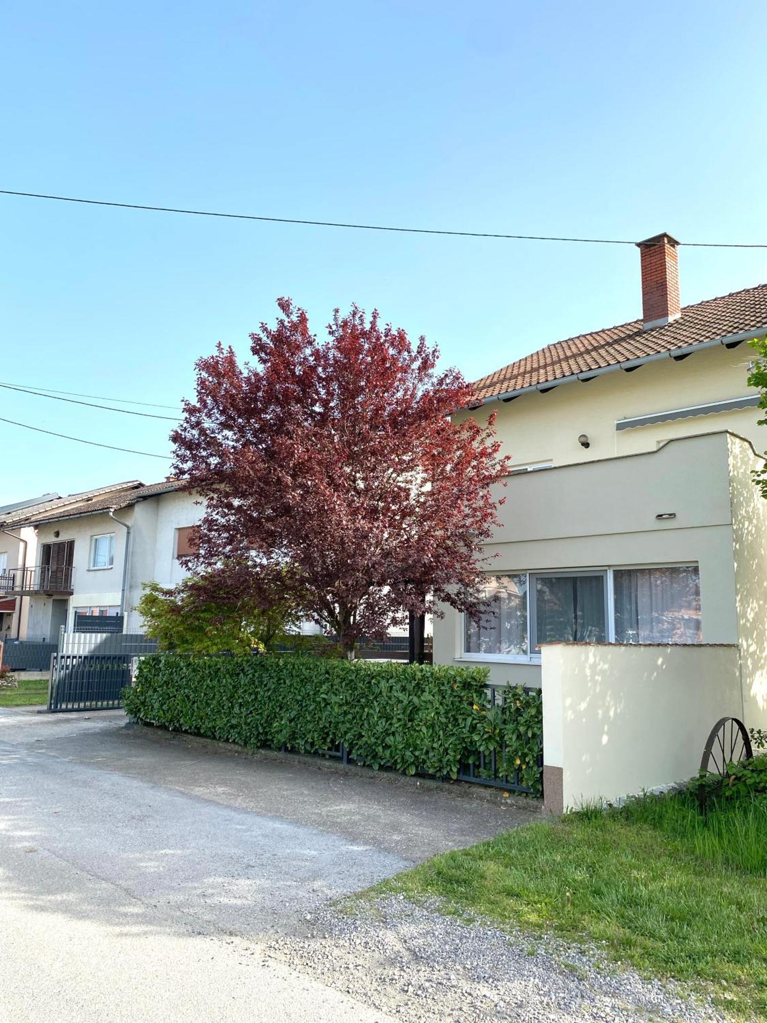 Apartman Lucija Gradici Kültér fotó